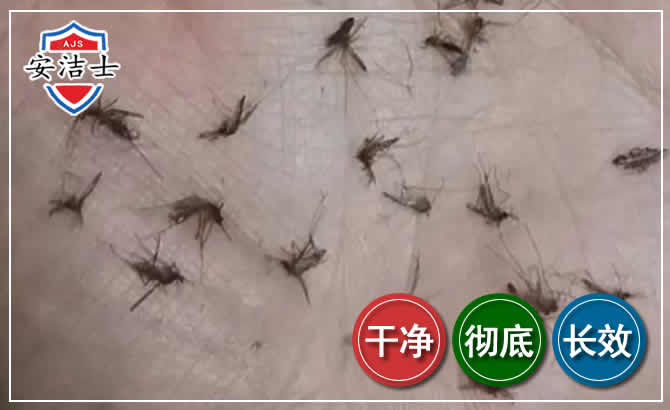 越城区蚊子防治-灭蚊