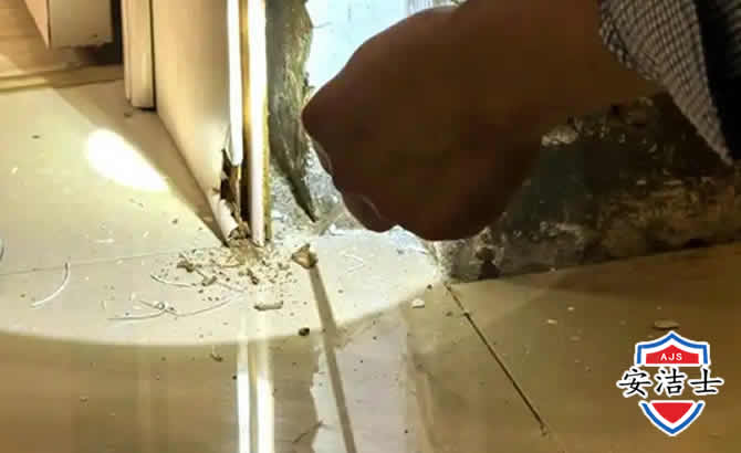 越城区房屋建筑防治白蚁