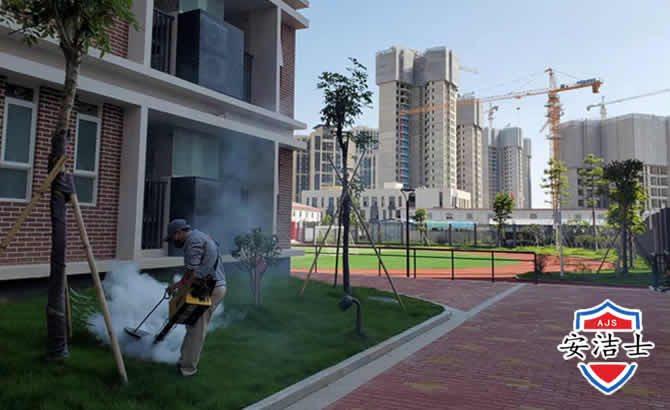 越城区工厂工地除白蚁