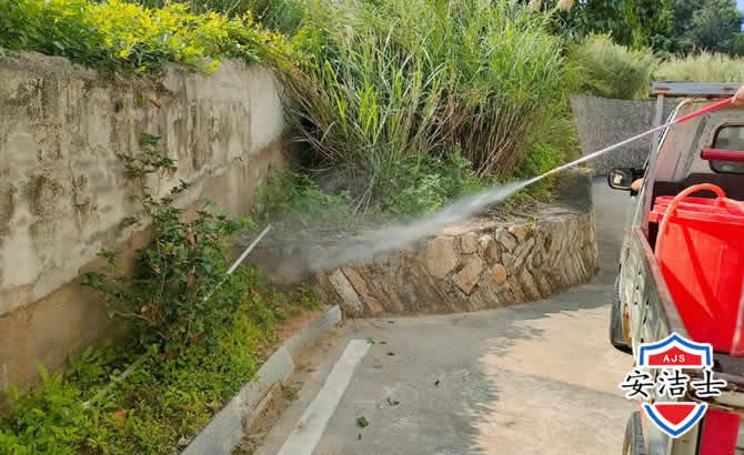 越城区道路堤坝白蚁防治