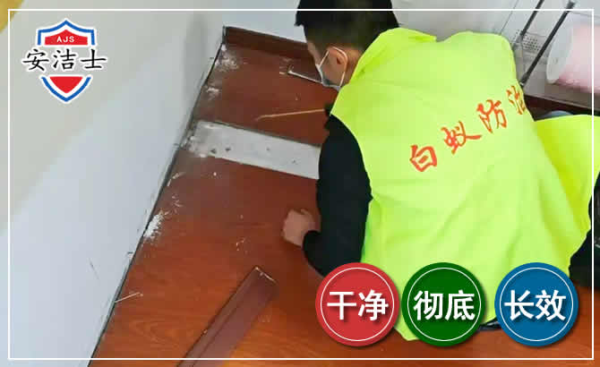 越城区除四害现场