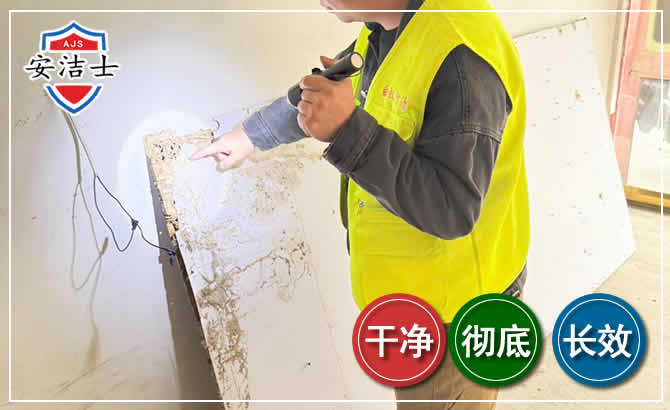 越城区除白蚁现场