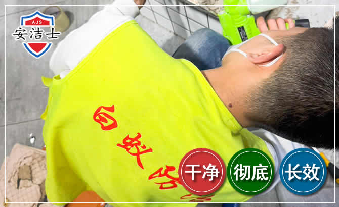 越城区白蚁根治现场